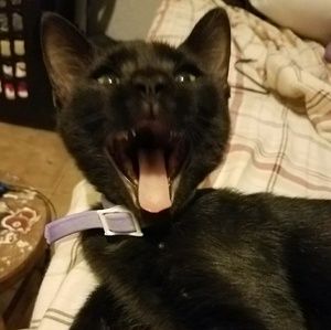 Meet your Posher, Jorge